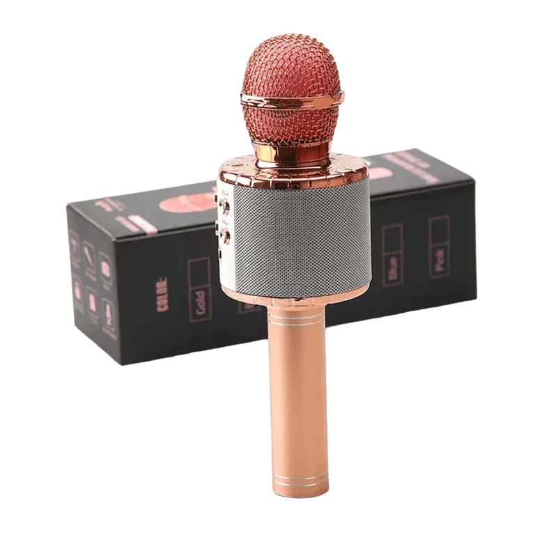 5-in-1 Wireless Karaoke Microphone with LED Lights – MSL