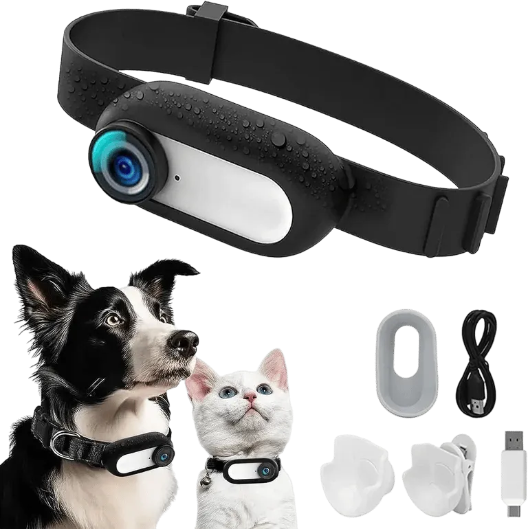 1080P Pet Collar HD Camera Wireless Mini Body Cam – MSL